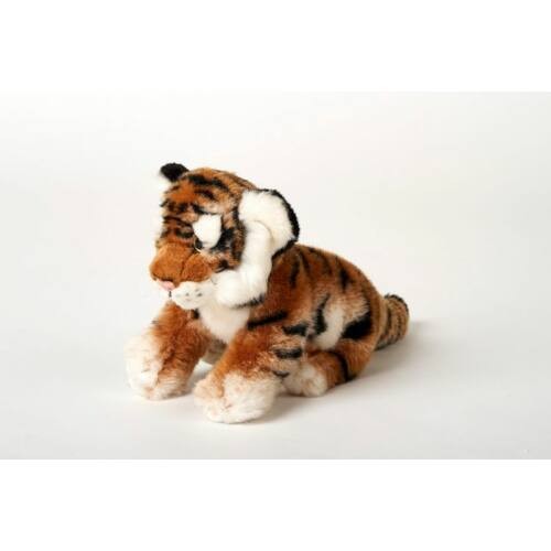 ws/pluss-tigris-23cm-4.jpg